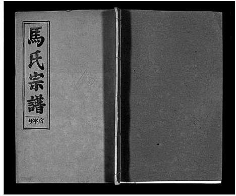 [下载][马氏宗谱_26卷_卷首上下_卷末各1卷_马氏宗谱]安徽.马氏家谱_九.pdf