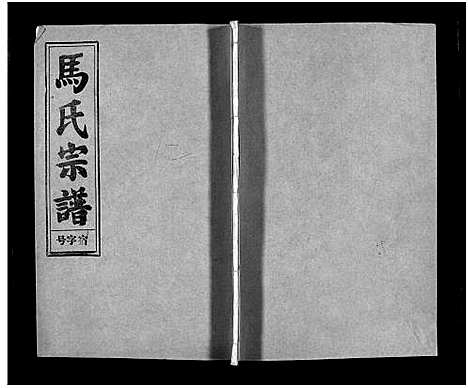 [下载][马氏宗谱_26卷_卷首上下_卷末各1卷_马氏宗谱]安徽.马氏家谱_十一.pdf