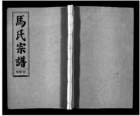 [下载][马氏宗谱_26卷_卷首上下_卷末各1卷_马氏宗谱]安徽.马氏家谱_十七.pdf