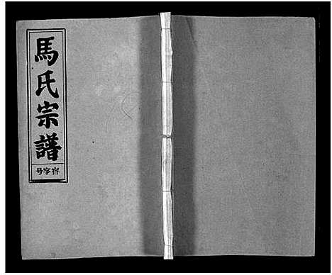 [下载][马氏宗谱_26卷_卷首上下_卷末各1卷_马氏宗谱]安徽.马氏家谱_十八.pdf