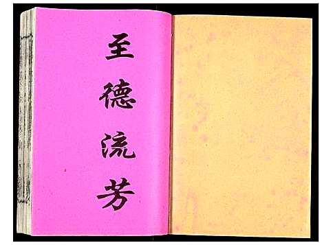 [下载][吴氏宗谱]安徽.吴氏家谱_二十.pdf