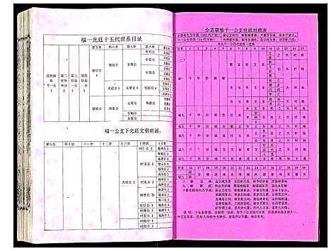 [下载][吴氏宗谱]安徽.吴氏家谱_二十.pdf