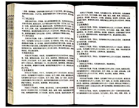 [下载][吴氏宗谱]安徽.吴氏家谱_二十八.pdf