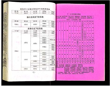 [下载][吴氏宗谱]安徽.吴氏家谱_四十四.pdf