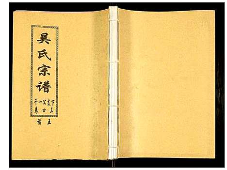 [下载][吴氏宗谱]安徽.吴氏家谱_四十五.pdf