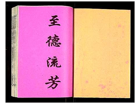 [下载][吴氏宗谱]安徽.吴氏家谱_四十五.pdf