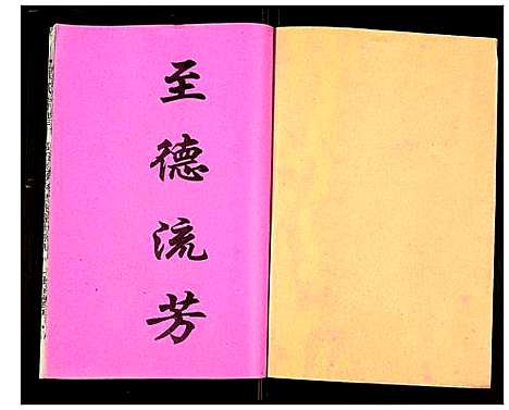 [下载][吴氏宗谱]安徽.吴氏家谱_四十九.pdf