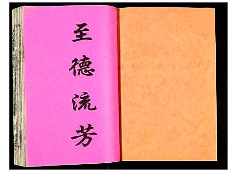 [下载][吴氏宗谱]安徽.吴氏家谱_五十一.pdf