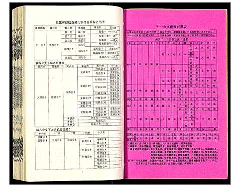 [下载][吴氏宗谱]安徽.吴氏家谱_七十一.pdf