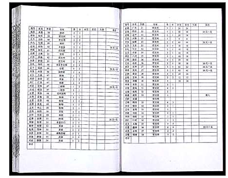 [下载][吴氏宗谱_89卷首1卷]安徽.吴氏家谱_九.pdf