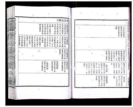 [下载][吴氏宗谱_89卷首1卷]安徽.吴氏家谱_二十九.pdf