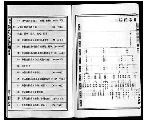 [下载][梁园地区杨氏宗谱]安徽.梁园地区杨氏家谱_四.pdf