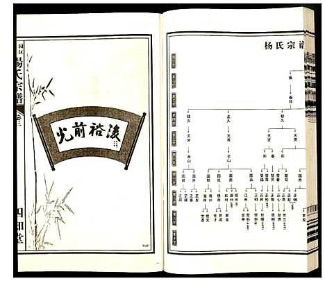 [下载][杨氏宗谱]安徽.杨氏家谱_三.pdf