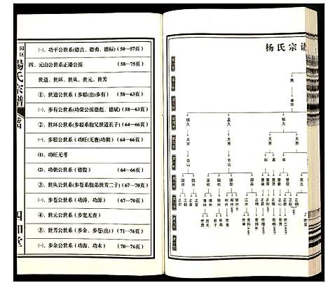 [下载][杨氏宗谱]安徽.杨氏家谱_四.pdf