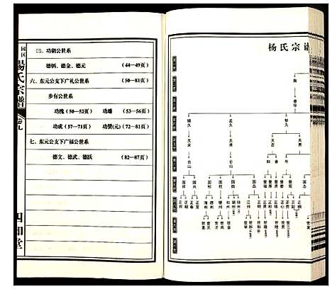 [下载][杨氏宗谱]安徽.杨氏家谱_九.pdf