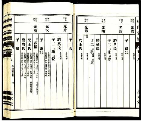 [下载][杨氏宗谱]安徽.杨氏家谱_十六.pdf