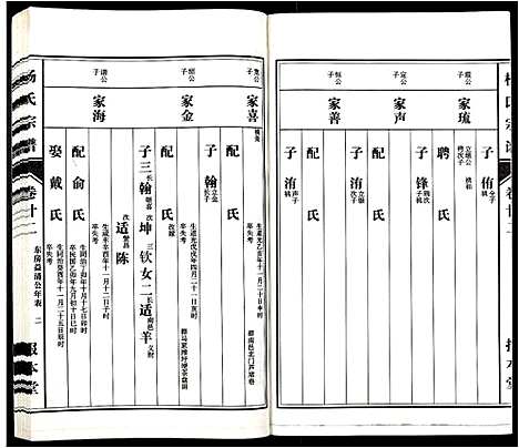 [下载][杨氏宗谱_31卷]安徽.杨氏家谱_二十.pdf