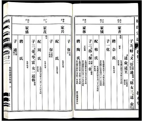 [下载][杨氏宗谱_31卷]安徽.杨氏家谱_二十.pdf