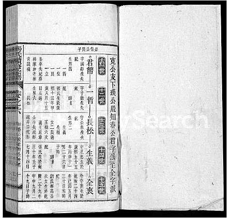 [下载][杨氏续修宗谱_61卷首2卷_末1卷_杨氏续修宗谱]安徽.杨氏续修家谱_十三.pdf