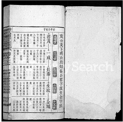 [下载][杨氏续修宗谱_61卷首2卷_末1卷_杨氏续修宗谱]安徽.杨氏续修家谱_十五.pdf