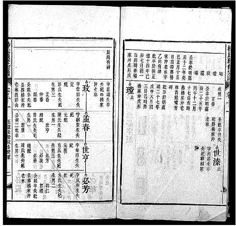 [下载][杨氏续修宗谱_61卷首2卷_末1卷_杨氏续修宗谱]安徽.杨氏续修家谱_十八.pdf