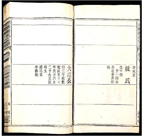 [下载][潜阳杨氏宗谱]安徽.潜阳杨氏家谱_二十.pdf