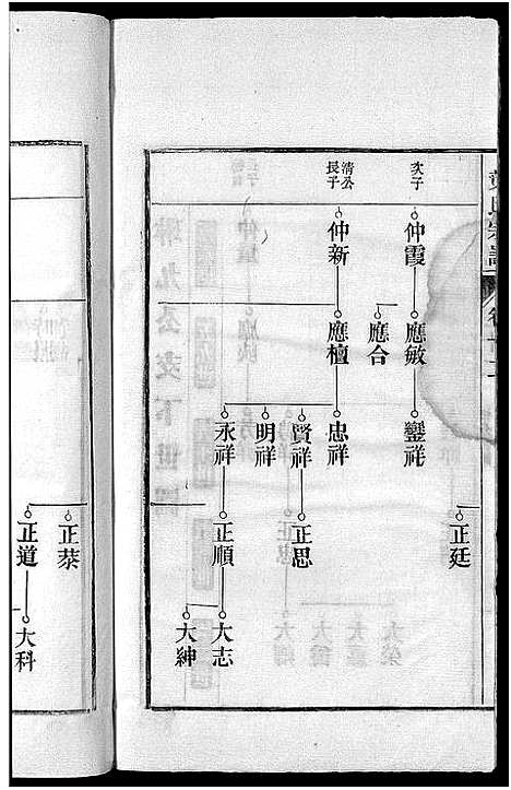 [下载][南阳叶氏宗谱_26卷首末各1卷_南陵孔村叶氏重修宗谱_叶氏宗谱_南阳叶氏宗谱]安徽.南阳叶氏家谱_十三.pdf