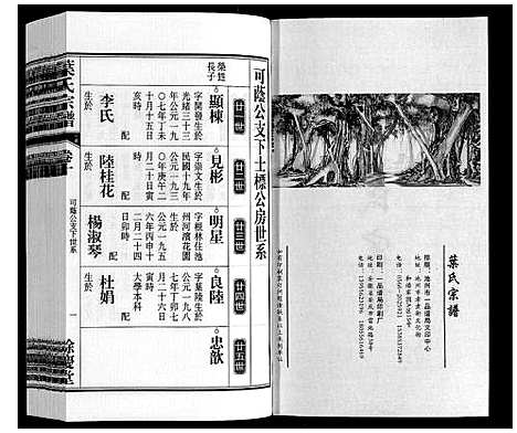 [下载][叶氏宗谱]安徽.叶氏家谱_十.pdf