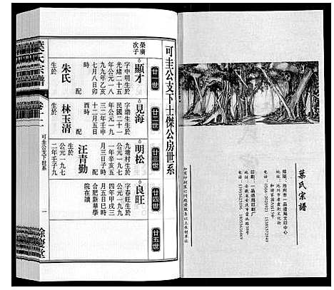 [下载][叶氏宗谱]安徽.叶氏家谱_十二.pdf