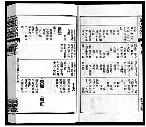 [下载][叶氏宗谱]安徽.叶氏家谱_十七.pdf