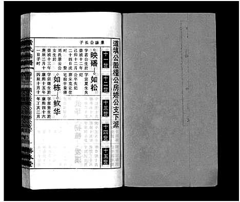 [下载][叶氏宗谱_43卷首1卷_末2卷_叶氏宗谱]安徽.叶氏家谱_十四.pdf