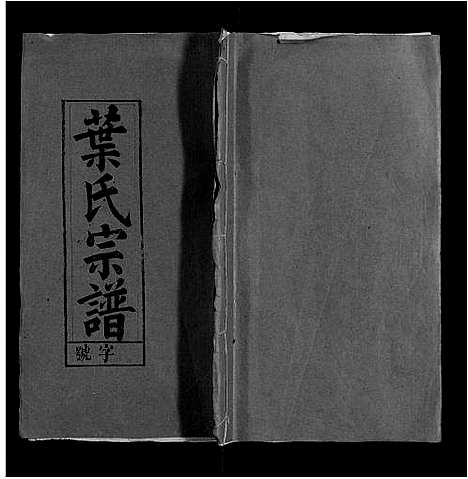 [下载][叶氏族谱]安徽.叶氏家谱_十二.pdf