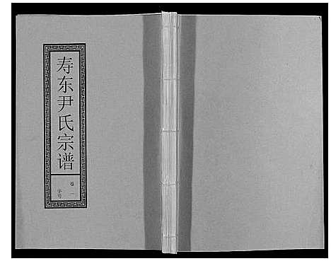 [下载][尹氏宗谱_63卷首2卷]安徽.尹氏家谱_十.pdf