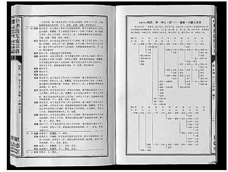 [下载][中华詹氏统宗谱]安徽.中华詹氏统家谱_二.pdf