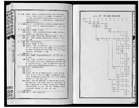 [下载][中华詹氏统宗谱]安徽.中华詹氏统家谱_三.pdf