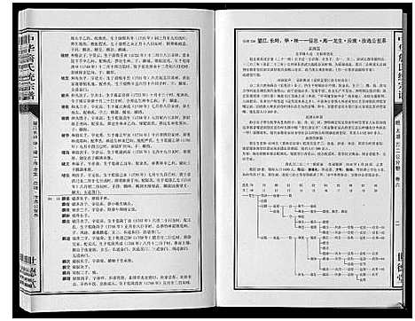 [下载][中华詹氏统宗谱]安徽.中华詹氏统家谱_八.pdf