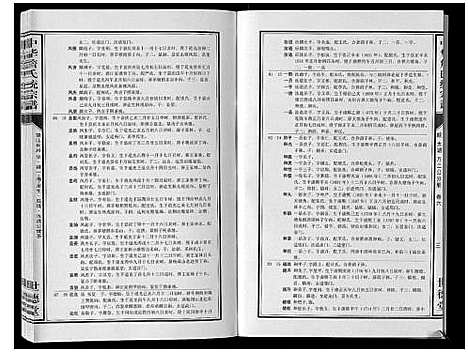 [下载][中华詹氏统宗谱]安徽.中华詹氏统家谱_八.pdf