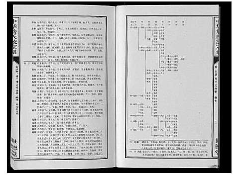 [下载][中华詹氏统宗谱]安徽.中华詹氏统家谱_九.pdf