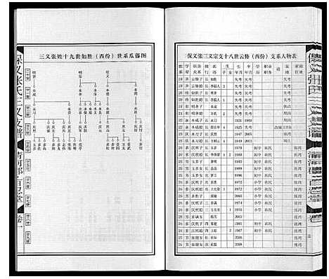 [下载][保义张氏三义支谱]安徽.保义张氏三义支谱_三.pdf