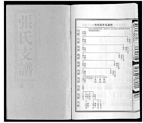 [下载][保义张氏三义支谱]安徽.保义张氏三义支谱_四.pdf