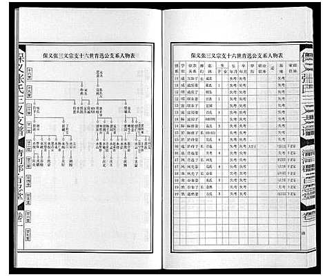 [下载][保义张氏三义支谱]安徽.保义张氏三义支谱_四.pdf