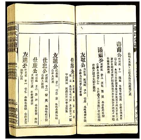 [下载][张氏宗谱]安徽.张氏家谱_二.pdf