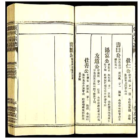 [下载][张氏宗谱]安徽.张氏家谱_二.pdf