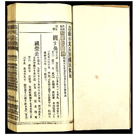 [下载][张氏宗谱]安徽.张氏家谱_三.pdf