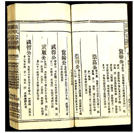 [下载][张氏宗谱]安徽.张氏家谱_三.pdf