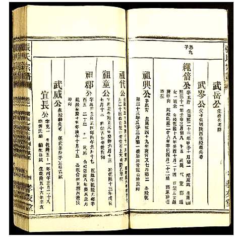 [下载][张氏宗谱]安徽.张氏家谱_三.pdf