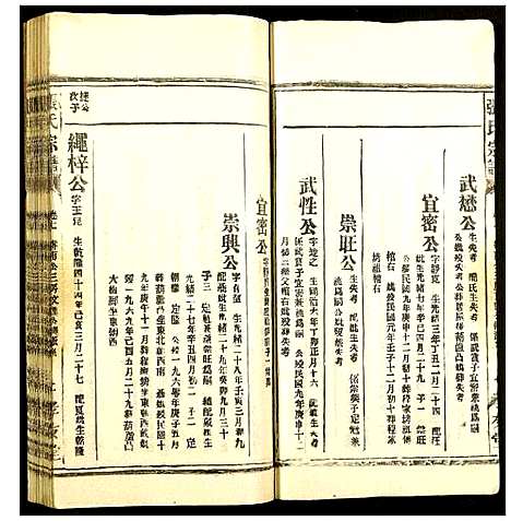 [下载][张氏宗谱]安徽.张氏家谱_八.pdf