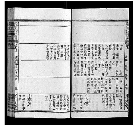 [下载][张氏宗谱_32卷首3卷]安徽.张氏家谱_十.pdf