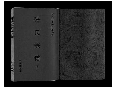 [下载][张氏宗谱_12卷]安徽.张氏家谱_九.pdf