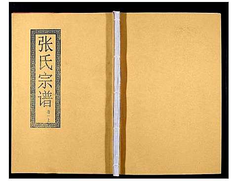 [下载][张氏宗谱_12卷]安徽.张氏家谱_一.pdf